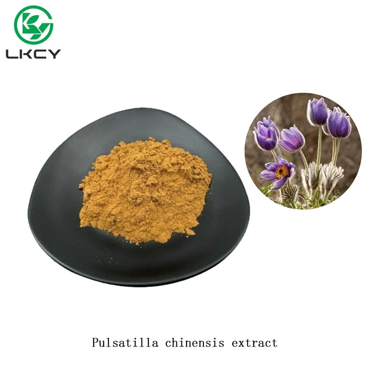 Extracto de pulsatilla chinensis