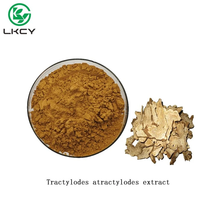 Extracto de Tractylodes Atractylodes